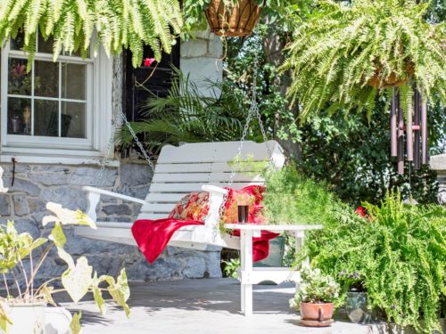 white porch swing surrounded by plants