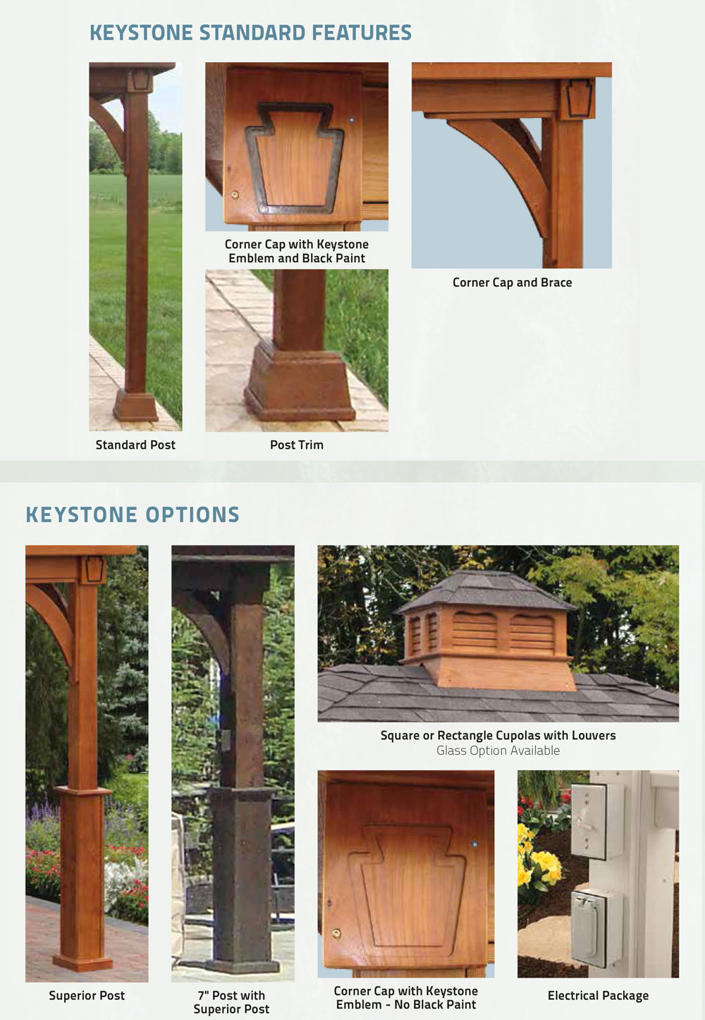 Shed Options